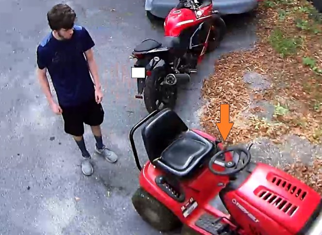 Bird on Steering Wheel